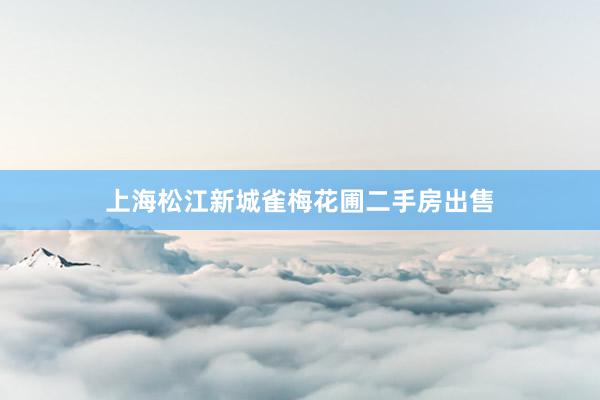 上海松江新城雀梅花圃二手房出售