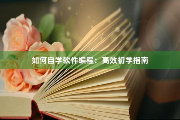 如何自学软件编程：高效初学指南