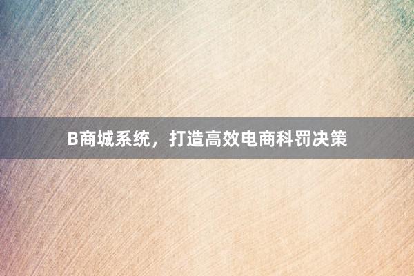 B商城系统，打造高效电商科罚决策