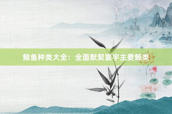 鲸鱼种类大全：全面默契寰宇主要鲸类